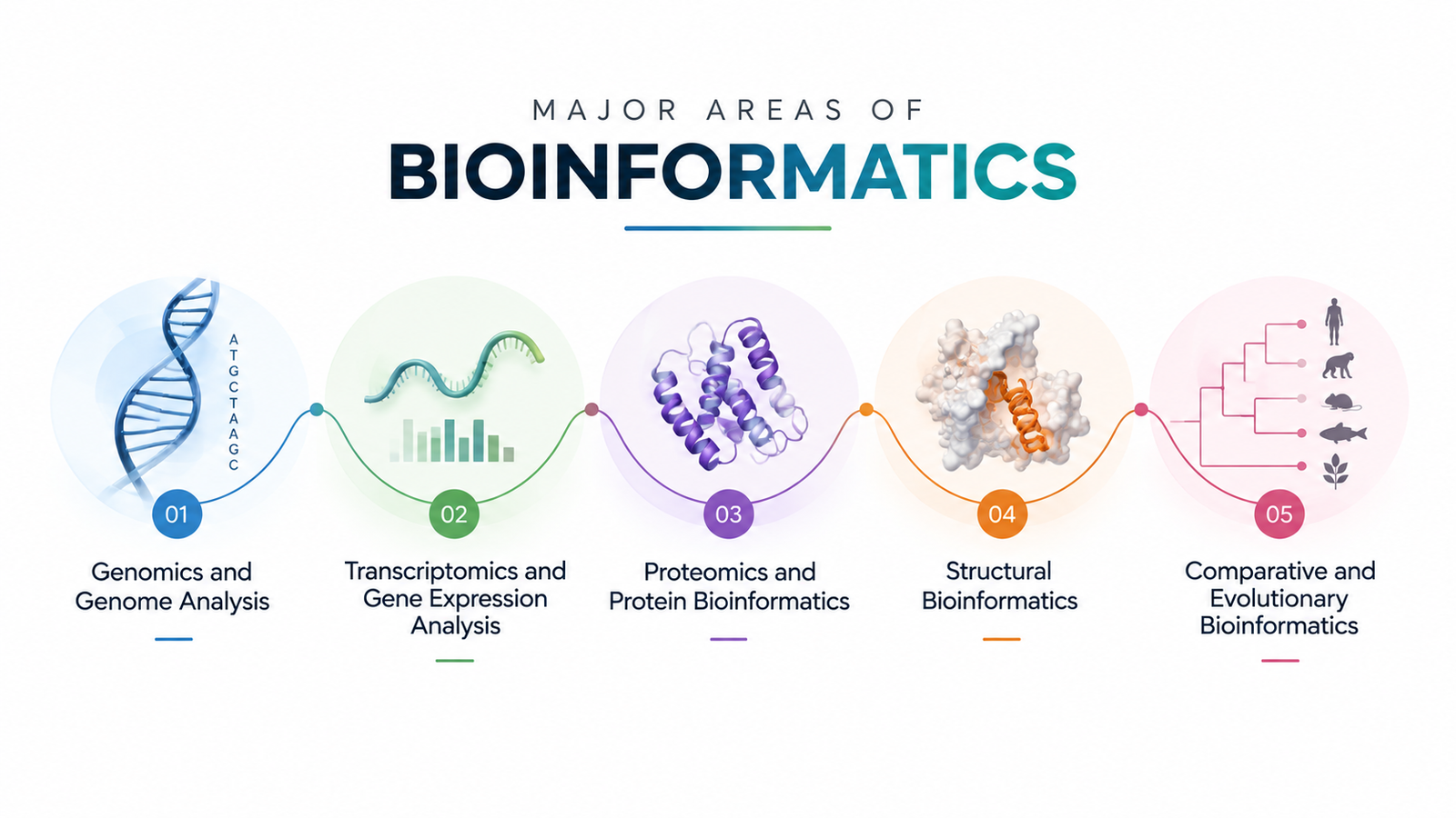 Bioinformatics